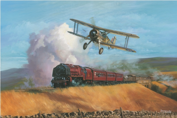 Gloster Gladiator picture - Military History Matters - Mark Bromley