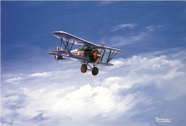 Gloster Grebe - Military History Matters - Mark Bromley