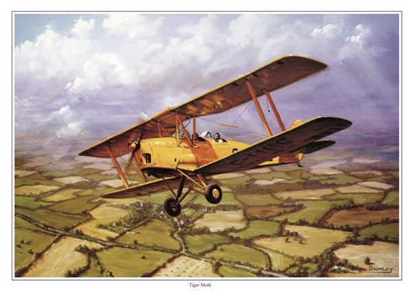 Tigermoth - Military History Matters - Mark Bromley