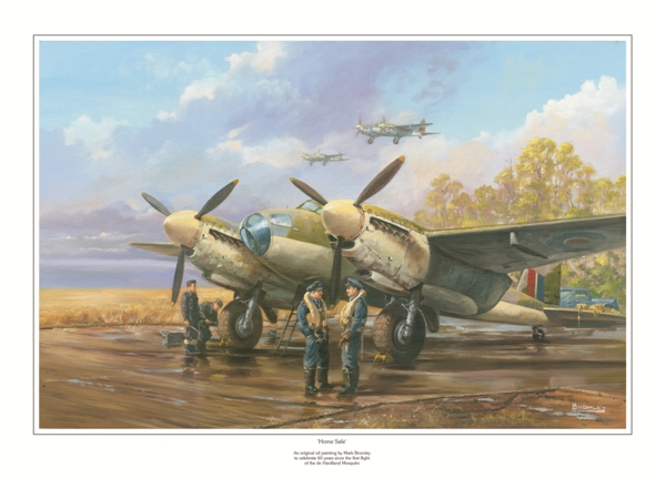 Mosquito on the ground