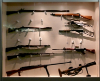 Rifle display