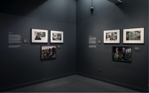 Eleven Women Facing War.2