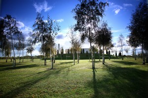Credit: National Memorial Arboretum