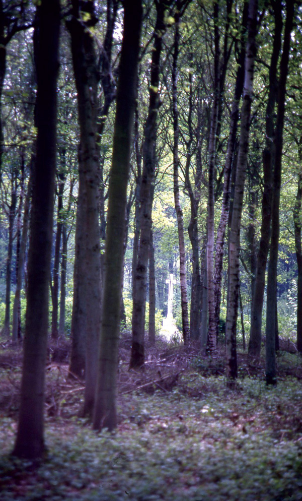 Some of the most moving sites, such as Rifle House Cemetery and Ploegsteert Wood, are among the least visited, but should not be missed.